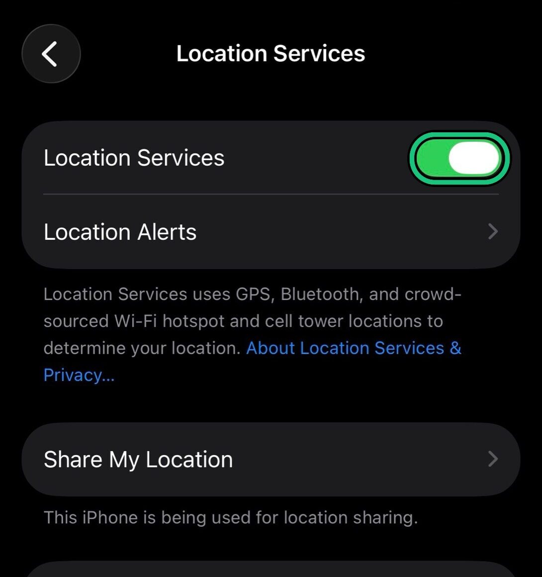 Location Services screen showing the Location Services toggle highlighted